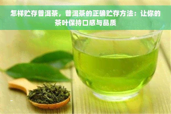 怎样贮存普洱茶，普洱茶的正确贮存方法：让你的茶叶保持口感与品质