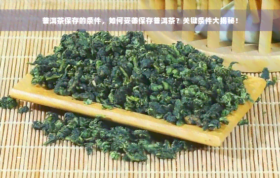 普洱茶保存的条件，如何妥善保存普洱茶？关键条件大揭秘！