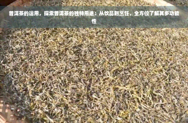 普洱茶的运用，探索普洱茶的独特用途：从饮品到烹饪，全方位了解其多功能性