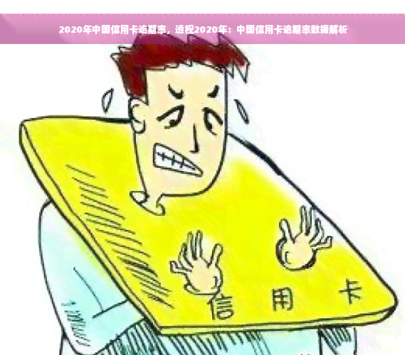 2020年中国信用卡逾期率，透视2020年：中国信用卡逾期率数据解析