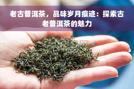 老古普洱茶，品味岁月痕迹：探索古老普洱茶的魅力