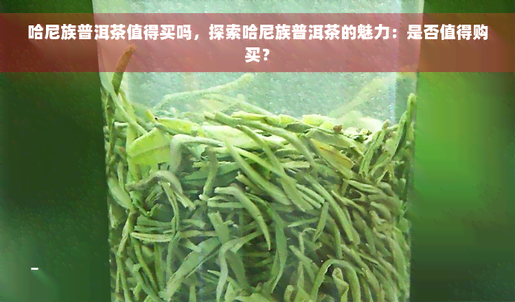 哈尼族普洱茶值得买吗，探索哈尼族普洱茶的魅力：是否值得购买？