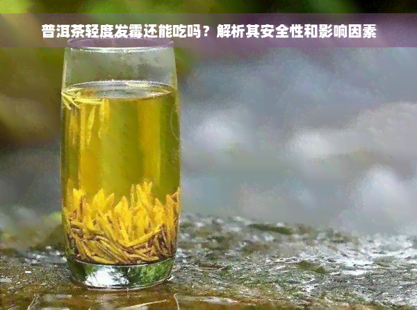 普洱茶轻度发霉还能吃吗？解析其安全性和影响因素