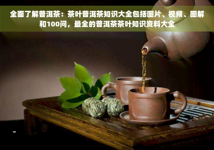 全面了解普洱茶：茶叶普洱茶知识大全包括图片、视频、图解和100问，最全的普洱茶茶叶知识资料大全