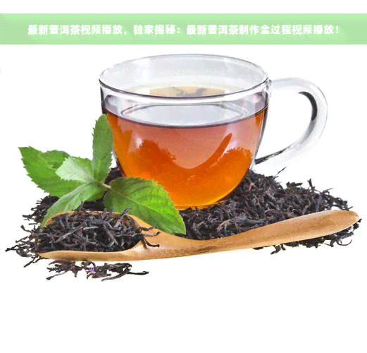 最新普洱茶视频播放，独家揭秘：最新普洱茶制作全过程视频播放！