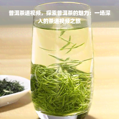 普洱茶道视频，探索普洱茶的魅力：一场深入的茶道视频之旅