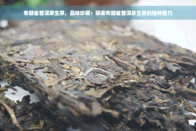 布朗雀普洱茶生茶，品味珍稀：探索布朗雀普洱茶生茶的独特魅力