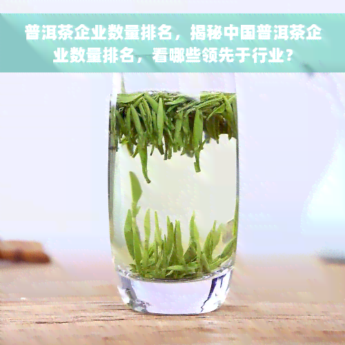 普洱茶企业数量排名，揭秘中国普洱茶企业数量排名，看哪些领先于行业？