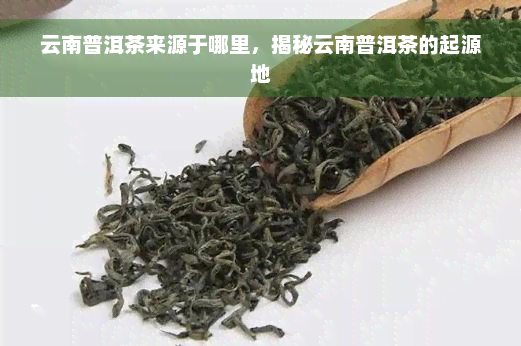 云南普洱茶来源于哪里，揭秘云南普洱茶的起源地