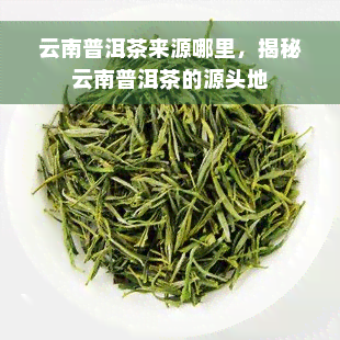 云南普洱茶来源哪里，揭秘云南普洱茶的源头地