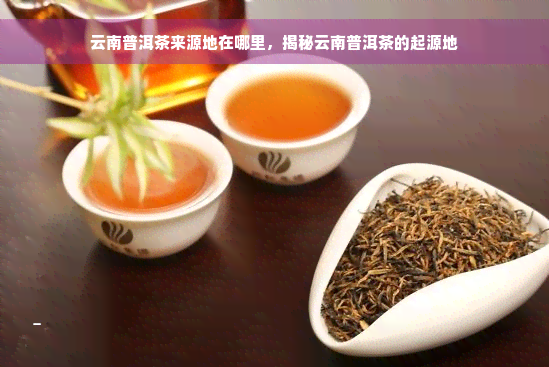 云南普洱茶来源地在哪里，揭秘云南普洱茶的起源地