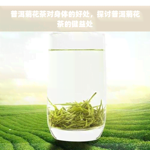 普洱菊花茶对身体的好处，探讨普洱菊花茶的健益处