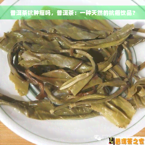 普洱茶抗肿瘤吗，普洱茶：一种天然的抗癌饮品？