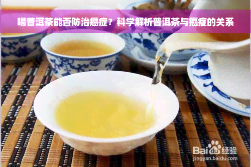 喝普洱茶能否防治癌症？科学解析普洱茶与癌症的关系