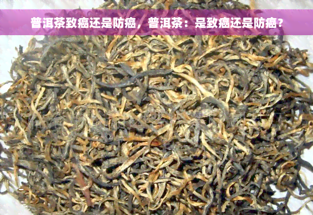 普洱茶致癌还是防癌，普洱茶：是致癌还是防癌？