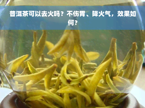 普洱茶可以去火吗？不伤胃、降火气，效果如何？