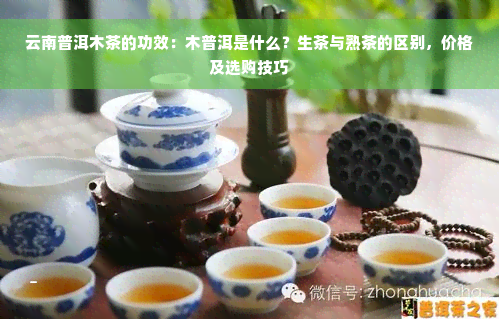 云南普洱木茶的功效：木普洱是什么？生茶与熟茶的区别，价格及选购技巧