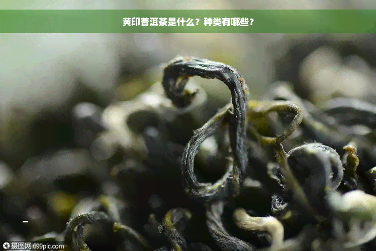 黄印普洱茶是什么？种类有哪些？