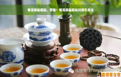 普洱茶氟超标，警惕！普洱茶氟超标问题引关注