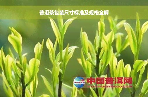 普洱茶包装尺寸标准及规格全解