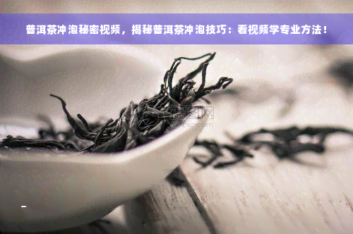 普洱茶冲泡秘密视频，揭秘普洱茶冲泡技巧：看视频学专业方法！