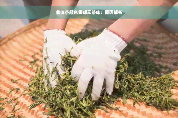 普洱茶颜色重却无茶味：原因解析