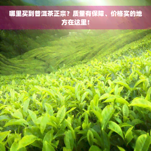 哪里买到普洱茶正宗？质量有保障、价格实的地方在这里！