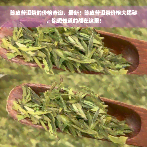 陈皮普洱茶的价格查询，最新！陈皮普洱茶价格大揭秘，你想知道的都在这里！