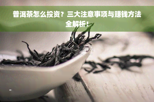 普洱茶怎么投资？三大注意事项与赚钱方法全解析！