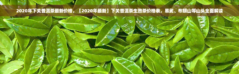 2020年下关普洱茶最新价格，【2020年最新】下关普洱茶生熟茶价格表，易武、布朗山等山头全面解读