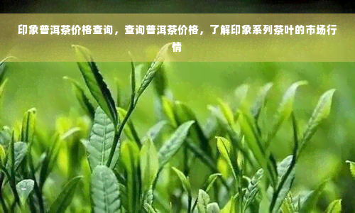 印象普洱茶价格查询，查询普洱茶价格，了解印象系列茶叶的市场行情