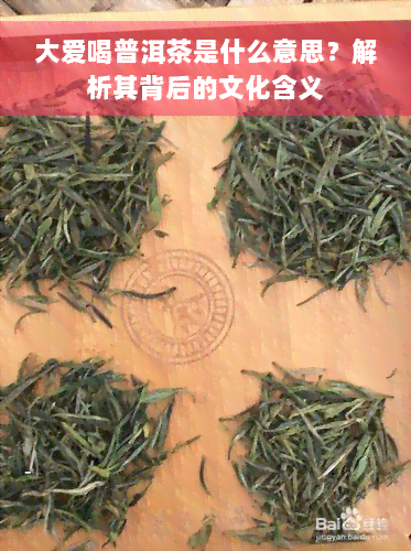 大爱喝普洱茶是什么意思？解析其背后的文化含义