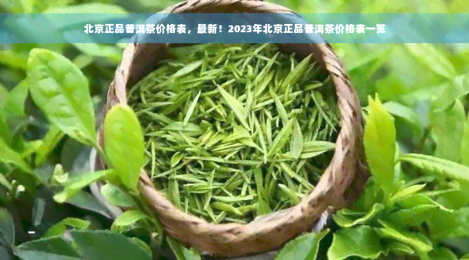 北京正品普洱茶价格表，最新！2023年北京正品普洱茶价格表一览