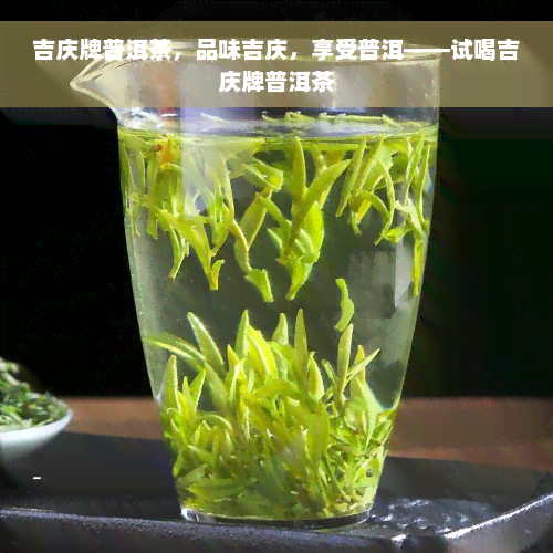 吉庆牌普洱茶，品味吉庆，享受普洱——试喝吉庆牌普洱茶