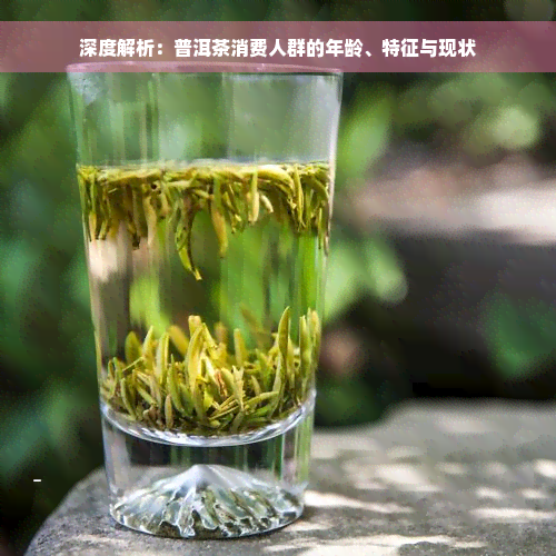 深度解析：普洱茶消费人群的年龄、特征与现状