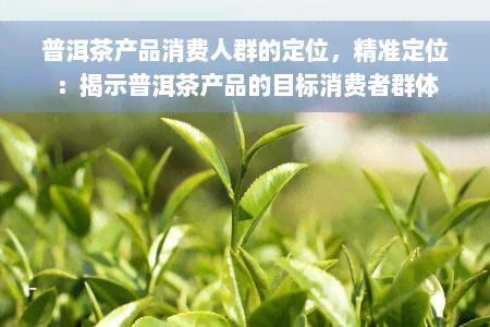 普洱茶产品消费人群的定位，精准定位：揭示普洱茶产品的目标消费者群体