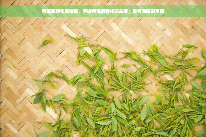 普洱茶转化度湿度，掌握普洱茶转化的关键：度与湿度的掌控