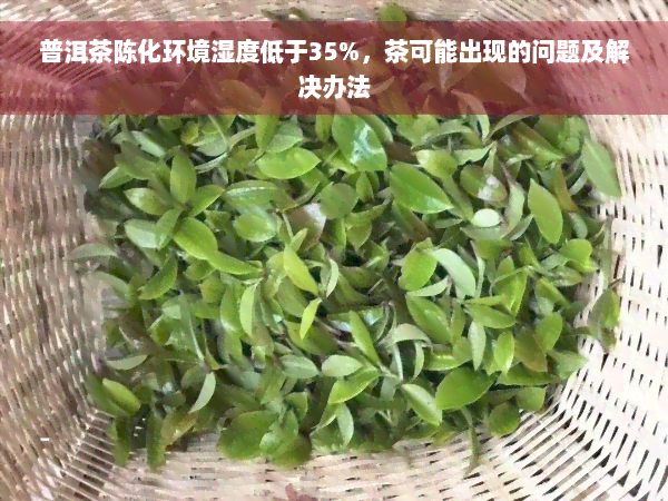 普洱茶陈化环境湿度低于35%，茶可能出现的问题及解决办法