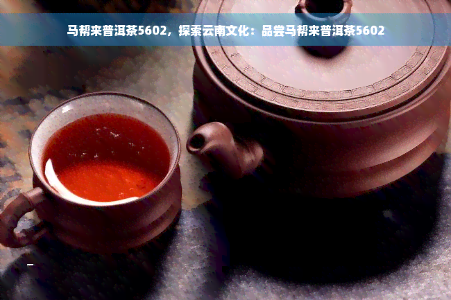 马帮来普洱茶5602，探索云南文化：品尝马帮来普洱茶5602