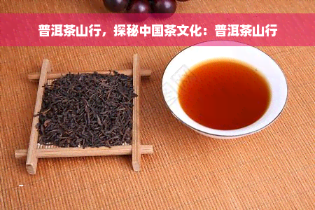 普洱茶山行，探秘中国茶文化：普洱茶山行