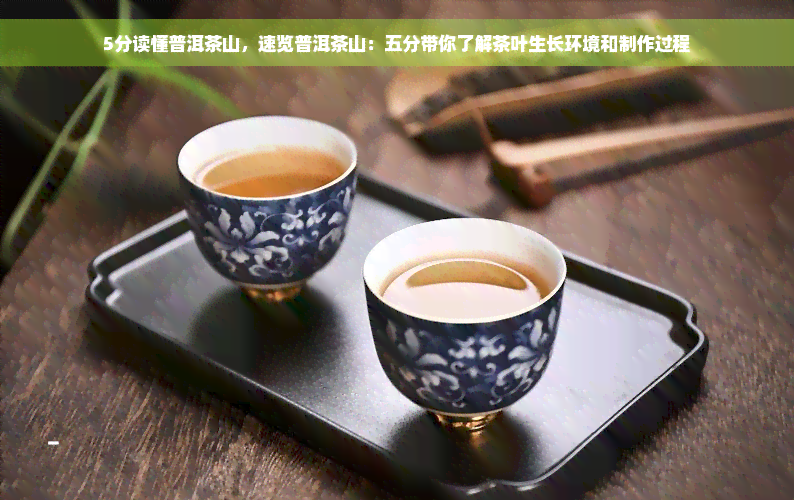 5分读懂普洱茶山，速览普洱茶山：五分带你了解茶叶生长环境和制作过程