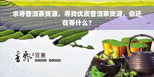 求寻普洱茶货源，寻找优质普洱茶货源，你还在等什么？