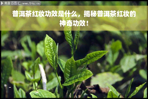 普洱茶红妆功效是什么，揭秘普洱茶红妆的神奇功效！