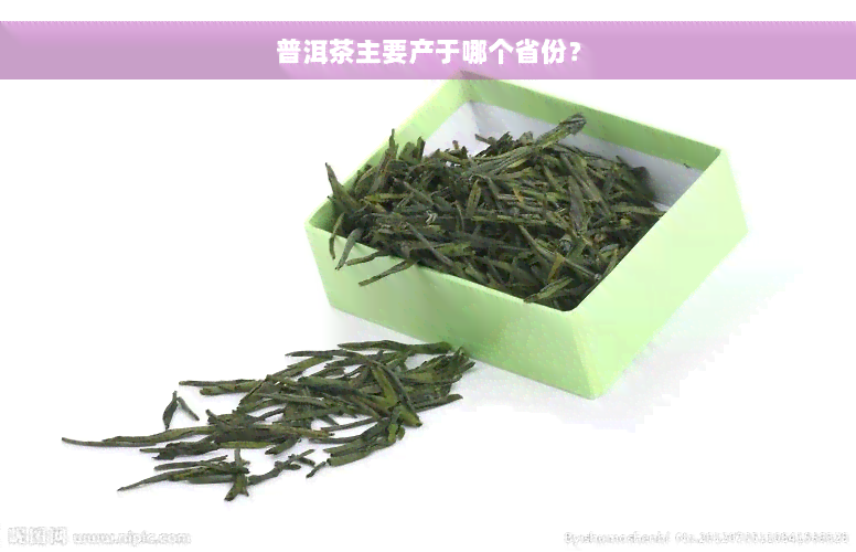 普洱茶主要产于哪个省份？