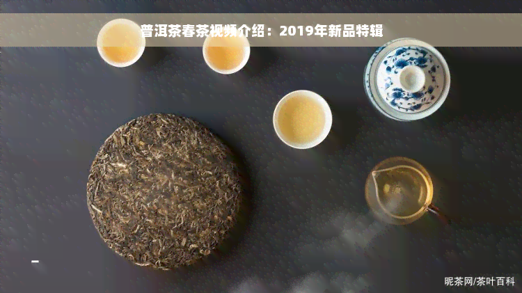 普洱茶春茶视频介绍：2019年新品特辑