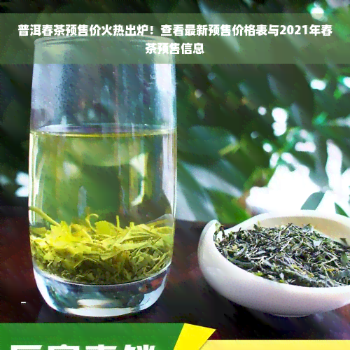 普洱春茶预售价火热出炉！查看最新预售价格表与2021年春茶预售信息