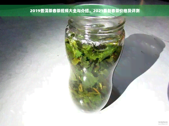 2019普洱茶春茶视频大全与介绍，2021最新春茶价格及评测