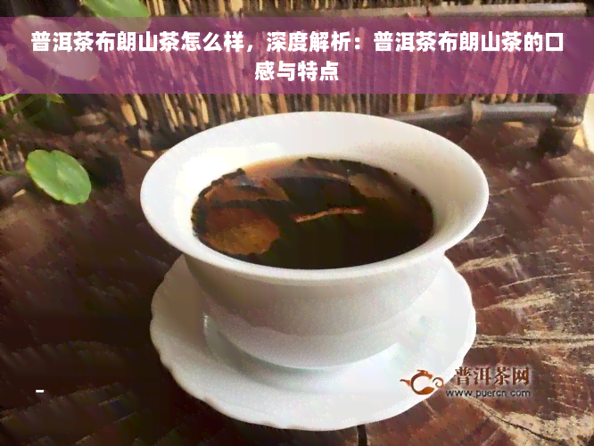 普洱茶布朗山茶怎么样，深度解析：普洱茶布朗山茶的口感与特点