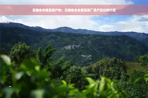 云南永年普洱茶产地：云南省永年普洱茶厂及产品价格介绍