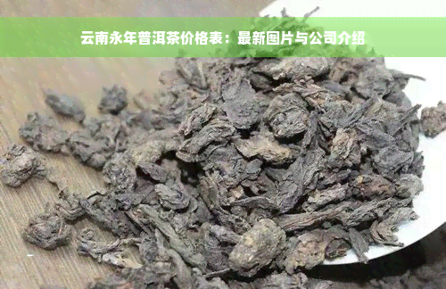 云南永年普洱茶价格表：最新图片与公司介绍